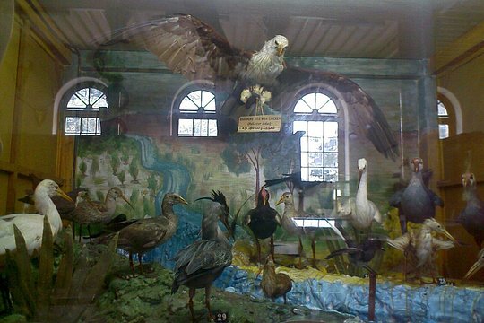 Tour image 5