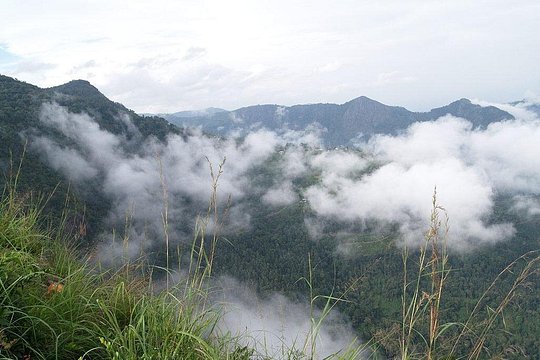 Tour image 4